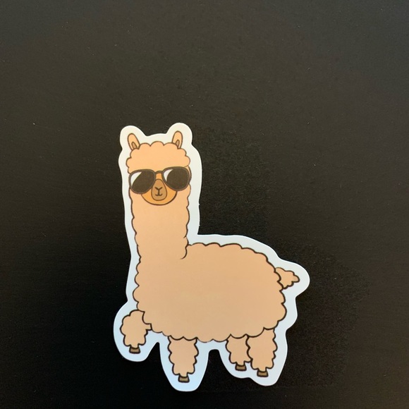 My Llama craze - Picture 6 of 7